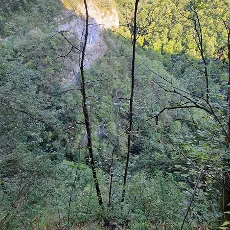 Dans Un Partagé * Annecy